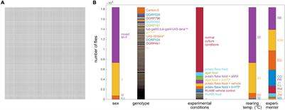 Precise Quantification of Behavioral Individuality From 80 Million Decisions Across 183,000 Flies